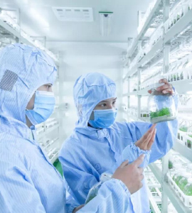 小黄片轻量版技術