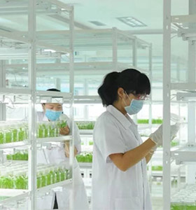 小黄片轻量版儀器