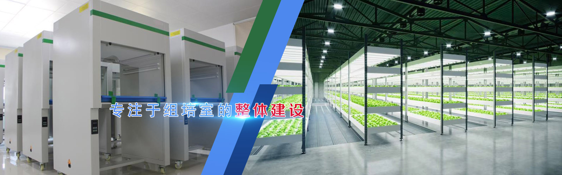 小黄片轻量版、小黄片轻量版架